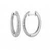 PENDIENTES CRIOLLA