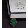 ANILLO PRADERA