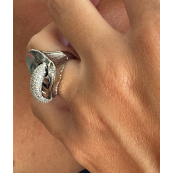 ANILLO CALA