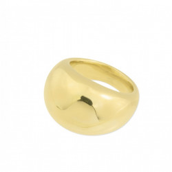 Anillo BOM
