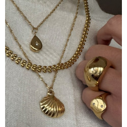 Anillo BOM