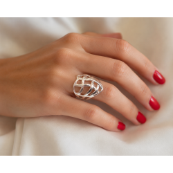 ANILLO REJA