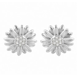 PENDIENTES PRADO