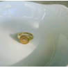 ANILLO SALEMA