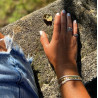 ANILLO CURVE