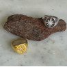 ANILLO ESTRELLA POLAR